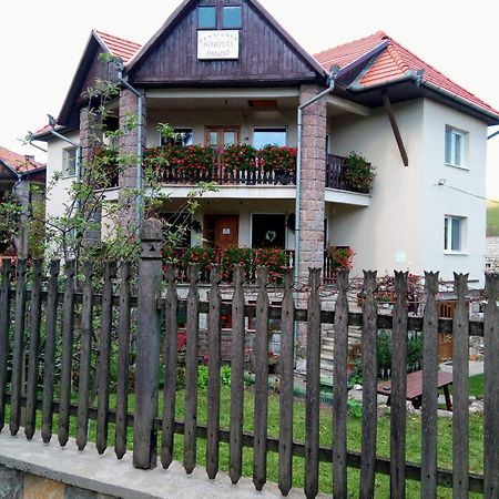 Pensiunea Bordas Panzio Сфинту-Ґеорґе Екстер'єр фото